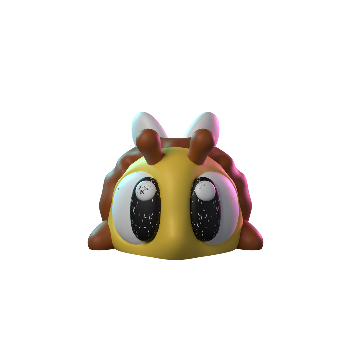 Wide-Eyed Bee