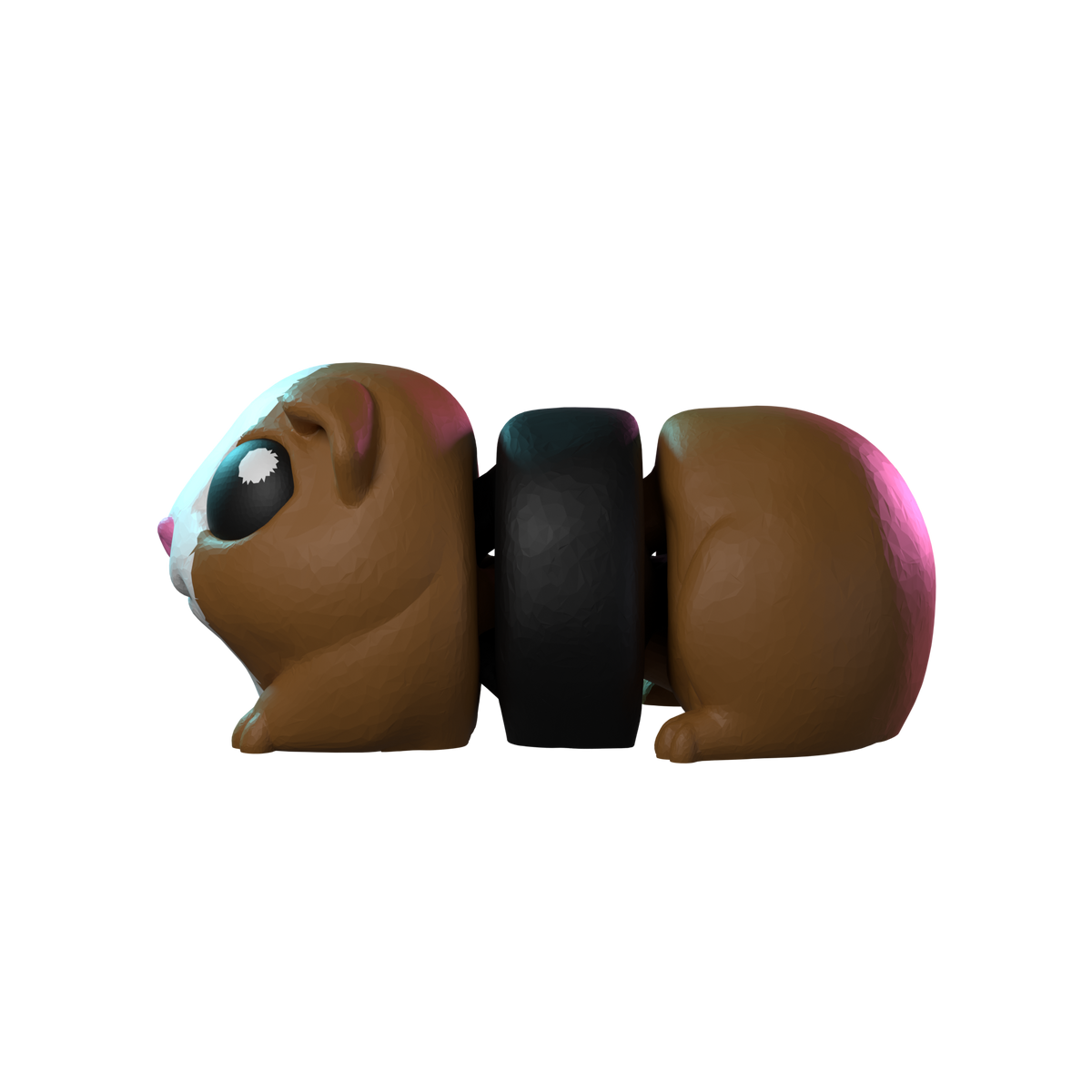 Guinea Pig Hatchling