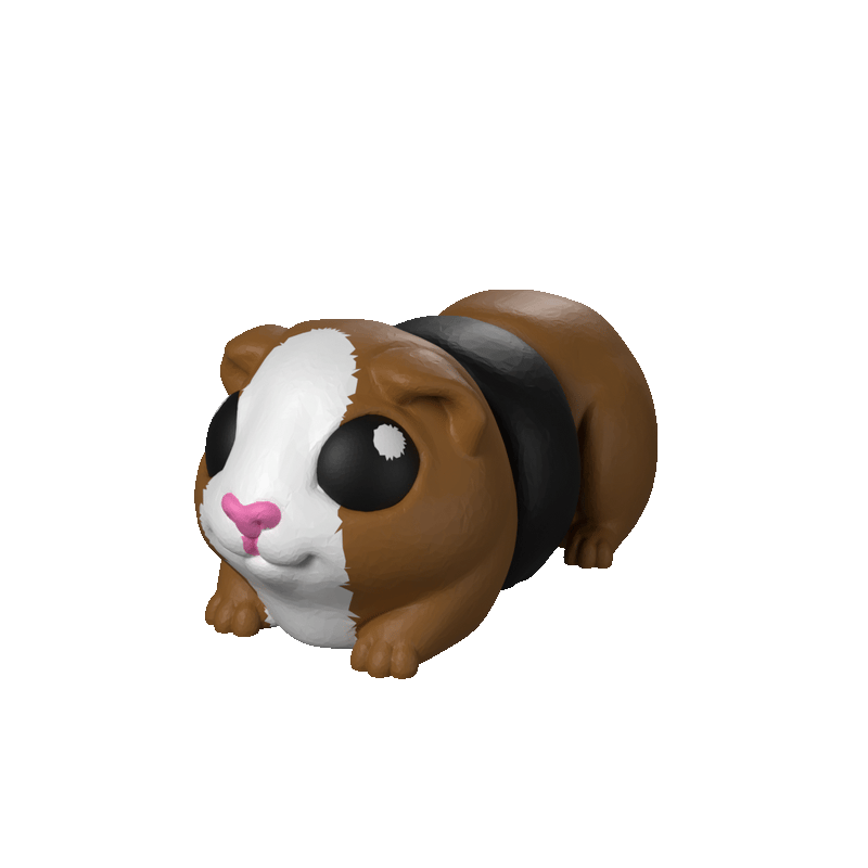 Guinea Pig Hatchling spin