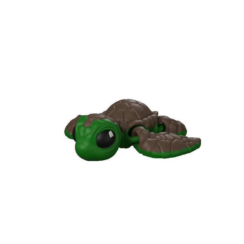 Sea Turtle Hatchling spin